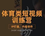 篮球小人物·体育类短视频教学课程，篮球解说账号的IP打造方法和内容创作课|淘骐网赚资源库