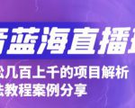 抖音最新蓝海直播玩法，3分钟赚30元，一天轻松1000+，只要你去直播就行【详细玩法教程】|淘骐网赚资源库