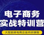 民赛电气内部出品:电子商务实战特训营,全方位带你入门电商,308种方式玩转电商|淘骐网赚资源库