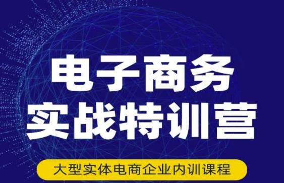 民赛电气内部出品：电子商务实战特训营，全方位带你入门电商，308种方式玩转电商|淘骐网赚资源库