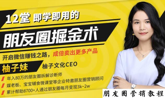 【营销必学】12堂学之即用的朋友圈掘金术:开启你的副业赚钱之路|淘骐网赚资源库