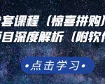 京东撸货全套课程(惊喜拼购),京东撸货项目深度解析(附软件)|淘骐网赚资源库