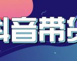 抖音直播带货入门必学教程,教快速上手抖音直播带货|淘骐网赚资源库