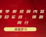 10堂速学微短剧内容制作标准与项目实战,领跑80%同行|淘骐网赚资源库