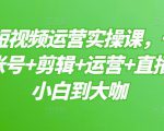 晨哥·短视频运营实操课，一部手机，账号+剪辑+运营+直播，从小白到大咖|淘骐网赚资源库
