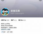 沙雕动画-皮蛋兄弟·熊猫人动画教学制作,全套素材文案教程分享!|淘骐网赚资源库