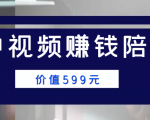 中视频赚钱陪跑,卖中视频账户赚钱收益陪跑项目(价值599元)|淘骐网赚资源库