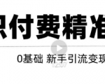 玩转知识付费项目精准引流,给你1套课多账号操作落地方案!|淘骐网赚资源库