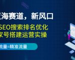 2022蓝海赛道，新风口：短视频SEO搜索排名优化+企业商家号搭建运营实操|淘骐网赚资源库