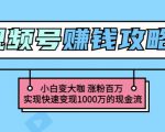 玩转微信视频号赚钱:小白变大咖涨粉百万实现快速变现1000万的现金流|淘骐网赚资源库
