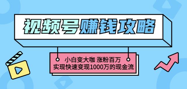 玩转微信视频号赚钱:小白变大咖涨粉百万实现快速变现1000万的现金流|淘骐网赚资源库