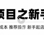 虚拟项目快速起店模式,0成本打造月入几万虚拟店铺!|淘骐网赚资源库