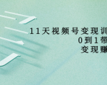 11天视频号变现训练营,从0到1打造变现赚钱系统(价值398元)|淘骐网赚资源库