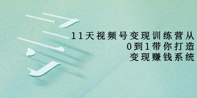11天视频号变现训练营,从0到1打造变现赚钱系统(价值398元)|淘骐网赚资源库
