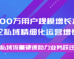 8000万用户规模增长方法论私域精细化运营增长，私域流量硬课助力业务跃迁|淘骐网赚资源库