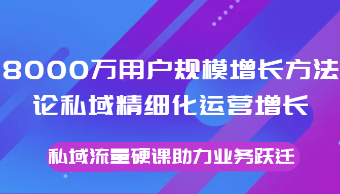 8000万用户规模增长方法论私域精细化运营增长,私域流量硬课助力业务跃迁|淘骐网赚资源库
