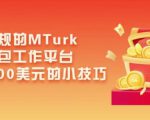 利用正规的MTurk微型众包工作平台,月赚1100美元的小技巧|淘骐网赚资源库