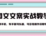 抖音图文文案实战教学,一部手机,有手就可以做,可多号操作获取收益|淘骐网赚资源库