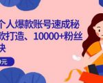 小红书个人爆款账号速成秘籍,爆款打造、10000+粉丝引流秘诀|淘骐网赚资源库