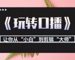 月营业额700万+大佬教您《玩转口播》让你从“小白”到剪辑“大师”|淘骐网赚资源库