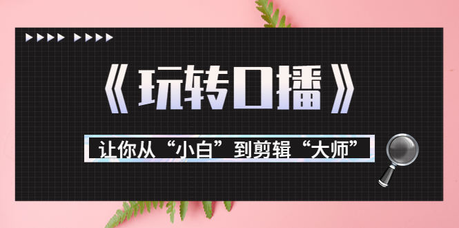 月营业额700万+大佬教您《玩转口播》让你从“小白”到剪辑“大师”|淘骐网赚资源库