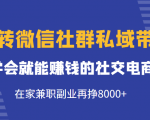 玩转微信社群私域带货，学会就能赚钱的社交电商，在家兼职副业再挣8000+|淘骐网赚资源库