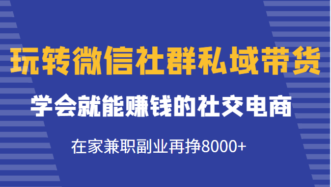 玩转微信社群私域带货，学会就能赚钱的社交电商，在家兼职副业再挣8000+|淘骐网赚资源库