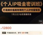 个人IP吸金密训班,打造高价值高效率的个人IP内容体系(价值12800元)|淘骐网赚资源库