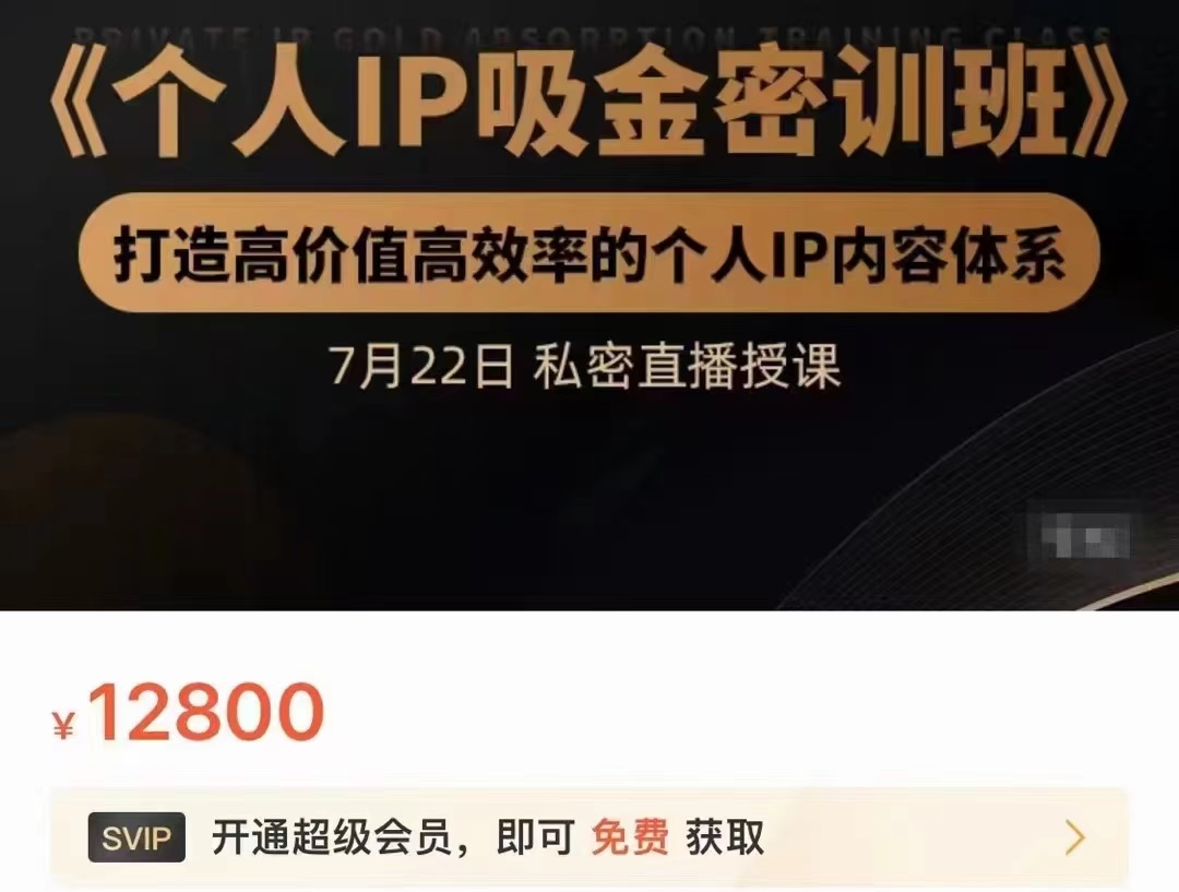 个人IP吸金密训班，打造高价值高效率的个人IP内容体系（价值12800元）|淘骐网赚资源库