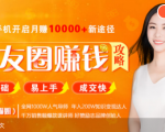 全网千万人气导师亲授:零基础/易上手的朋友圈赚钱攻略,让你轻松月入过万|淘骐网赚资源库