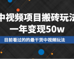 中视频项目搬砖玩法，一年变现50w，目前看过的的最干货中视频玩法|淘骐网赚资源库