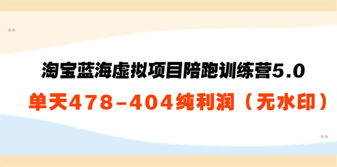 淘宝蓝海虚拟项目陪跑训练营5.0:单天478纯利润|淘骐网赚资源库
