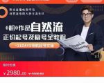 0粉0作品自然流正价起号及稳号全教程,专业自然流起号机构流程化教学(价值2980元)|淘骐网赚资源库