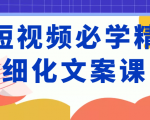 短视频必学精细化文案课,提升你的内容创作能力、升级迭代能力和变现力(价值333元)|淘骐网赚资源库