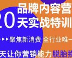 《内容营销实操特训营》20天让你营销能力脱胎换骨(价值3999)|淘骐网赚资源库