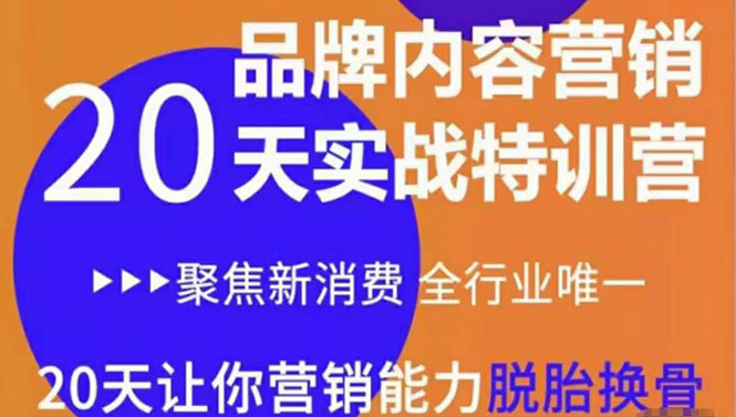 《内容营销实操特训营》20天让你营销能力脱胎换骨(价值3999)|淘骐网赚资源库