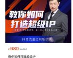 教你如何打造超级IP,抖音流量红利新机遇(价值980元)|淘骐网赚资源库
