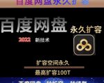 百度网盘无限扩容技术，外面卖399的，无论自己用还是用做引流都可以|淘骐网赚资源库