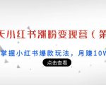 21天小红书涨粉变现营(第3期):带你掌握小红书爆款玩法,月赚10W+秘密|淘骐网赚资源库