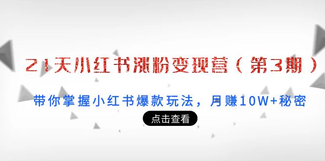 21天小红书涨粉变现营（第3期）：带你掌握小红书爆款玩法，月赚10W+秘密|淘骐网赚资源库