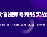 微信视频号赚钱实战:抓住流量红利,快速积累百万粉丝,赚取你的第一桶金|淘骐网赚资源库