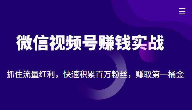 微信视频号赚钱实战:抓住流量红利,快速积累百万粉丝,赚取你的第一桶金|淘骐网赚资源库