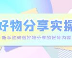 好物分享实操:新手如何做好物分享的账号内容,实操教学|淘骐网赚资源库