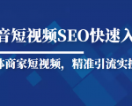 抖音短视频Seo搜索排名优化新手快速入门教程,实体商家短视频,精准引流实操课|淘骐网赚资源库