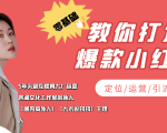 学做小红书自媒体从0到1,零基础教你打造爆款小红书【含无水印教学ppt】|淘骐网赚资源库