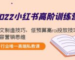 2022小红书高阶训练营:爆文制造技巧,低预算高roi投放技巧,内容营销思维|淘骐网赚资源库
