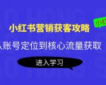 小红书营销获客攻略:从账号定位到核心流量获取,爆款笔记打造|淘骐网赚资源库