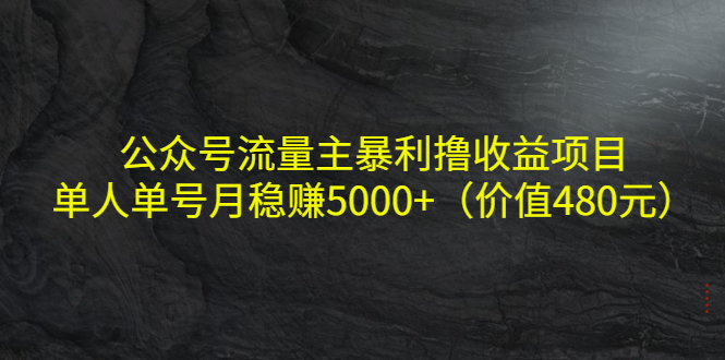 公众号流量主暴利撸收益项目,单人单号月稳赚5000+(价值480元)|淘骐网赚资源库