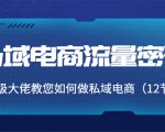私域电商流量密码:千万级大佬教您如何做私域电商(12节课)|淘骐网赚资源库
