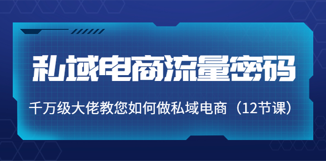 私域电商流量密码:千万级大佬教您如何做私域电商(12节课)|淘骐网赚资源库